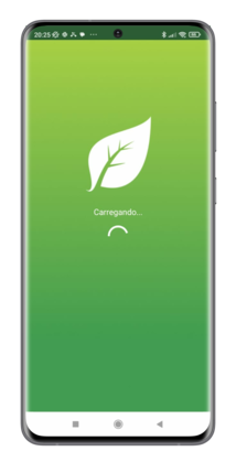 Mockup 2